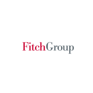 Fitch Group logo image